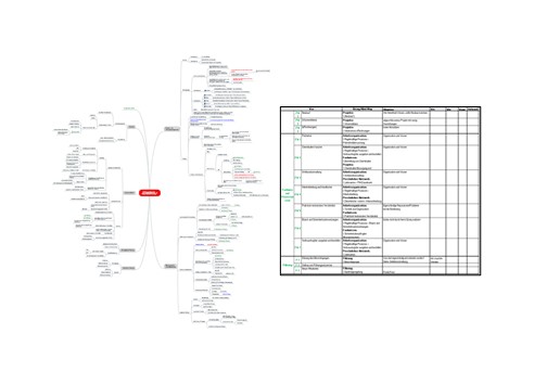 Schaubild Mindmap und Transferplan